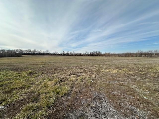 Listing Photo MLS #HMS2467696