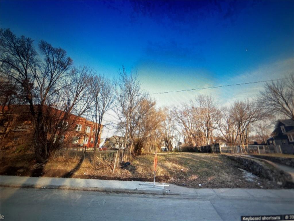 Listing Photo MLS #HMS2498841