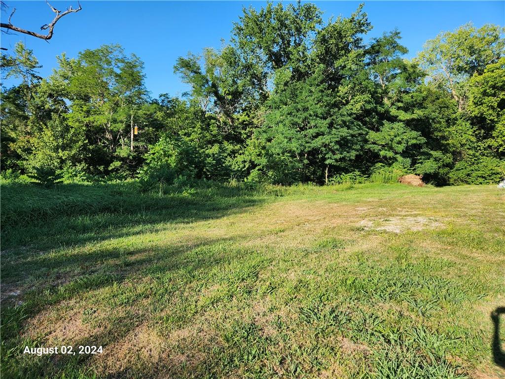 Listing Photo MLS #HMS2502713