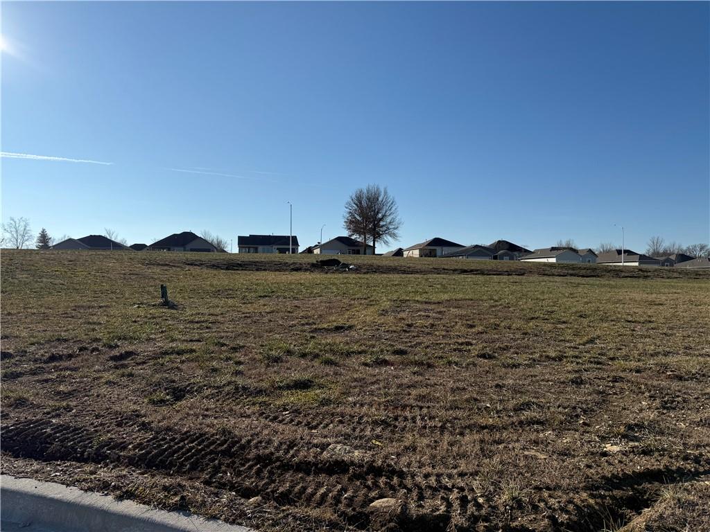 Listing Photo MLS #HMS2523744