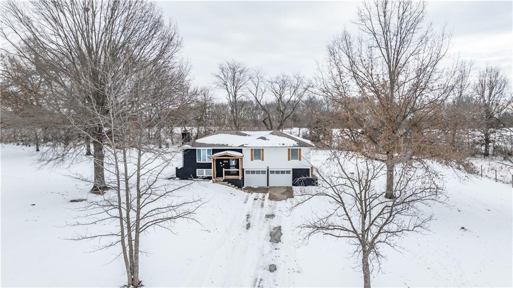 Listing Photo MLS #HMS2525499