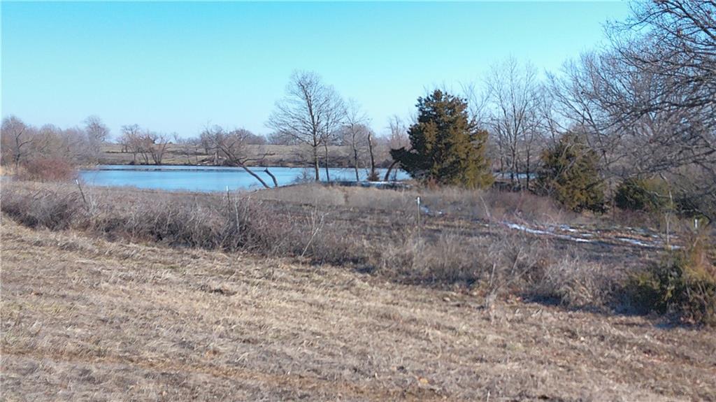 Listing Photo MLS #HMS2527255