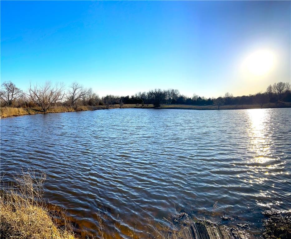 Listing Photo MLS #HMS2535426