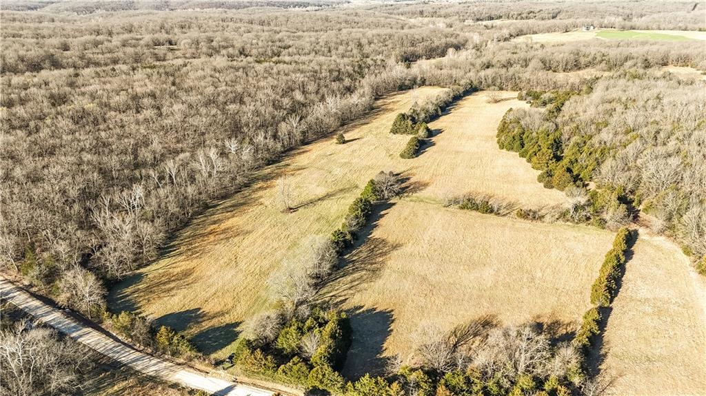 Listing Photo MLS #HMS2538706