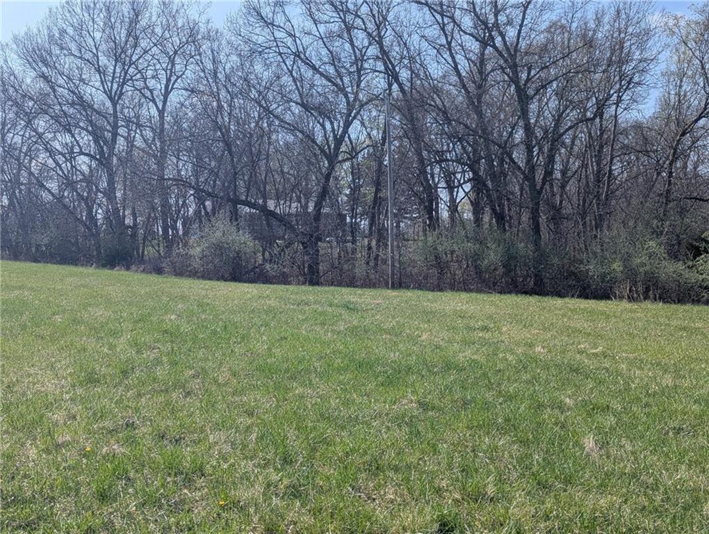 Listing Photo MLS #HMS2543198
