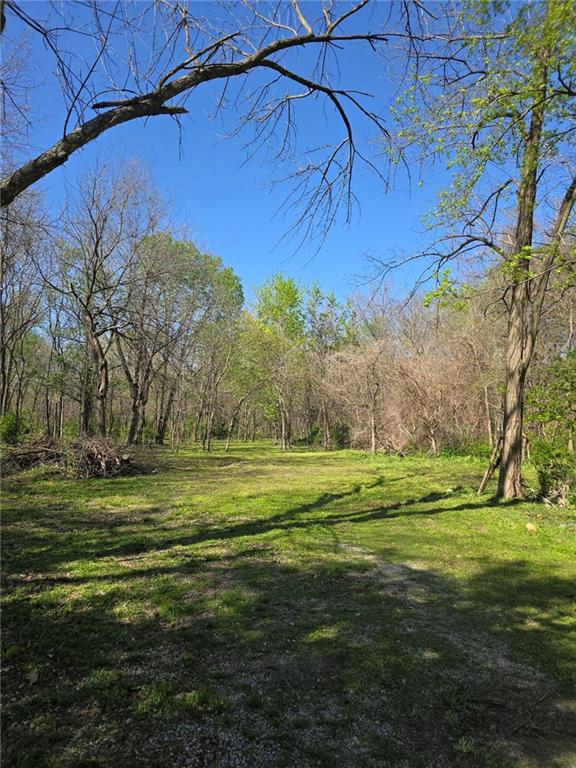 Listing Photo MLS #HMS2543763