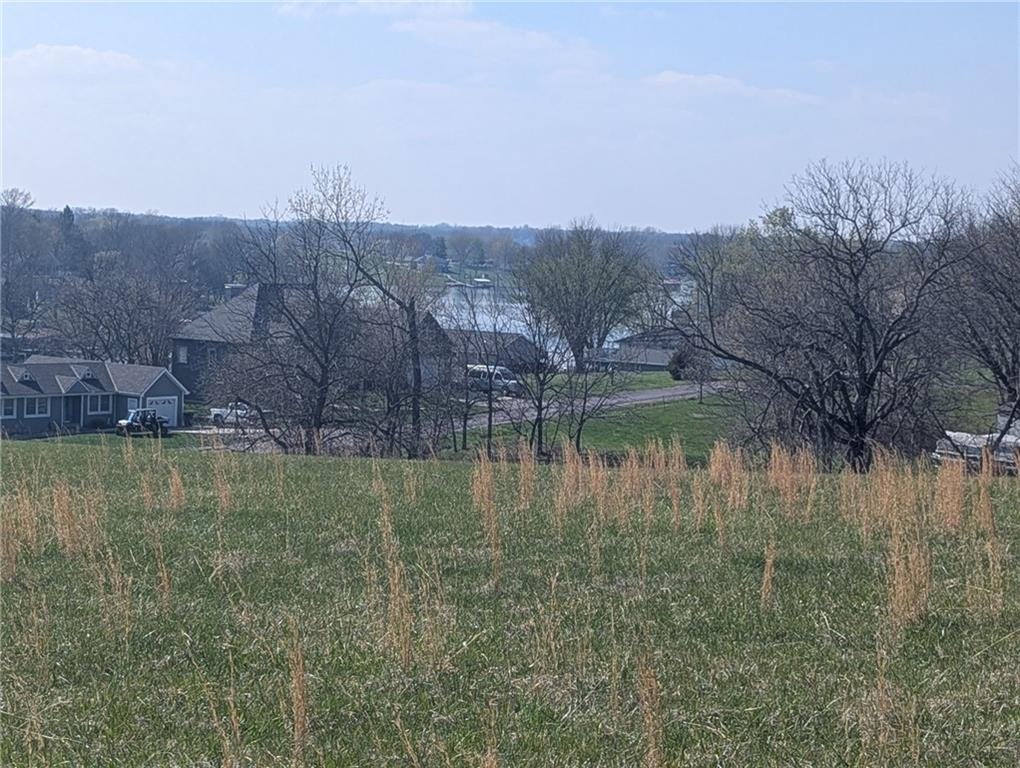 Listing Photo MLS #HMS2544736
