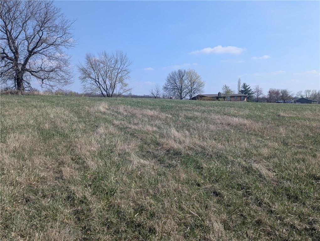 Listing Photo MLS #HMS2544738