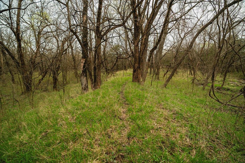 Listing Photo MLS #HMS2544933
