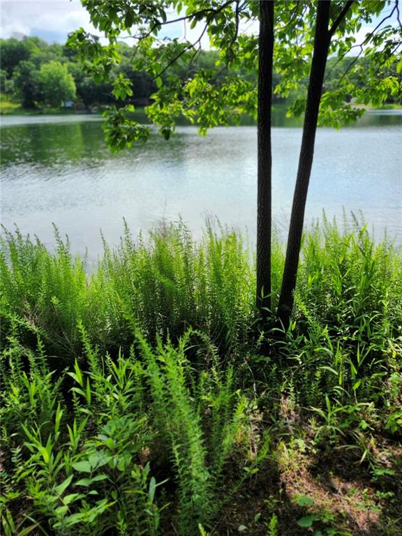 Listing Photo MLS #HMS2545742