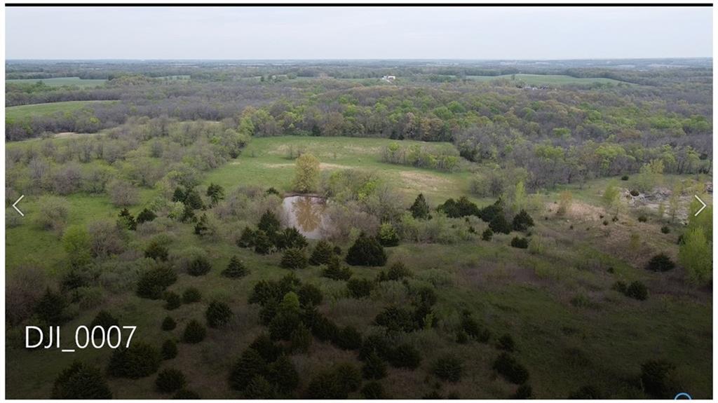 Listing Photo MLS #HMS2546011