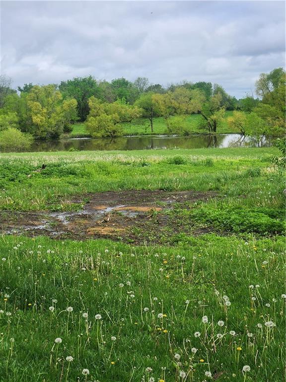 Listing Photo MLS #HMS2546357