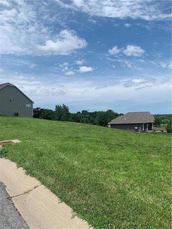 Listing Photo MLS #HMS2546516