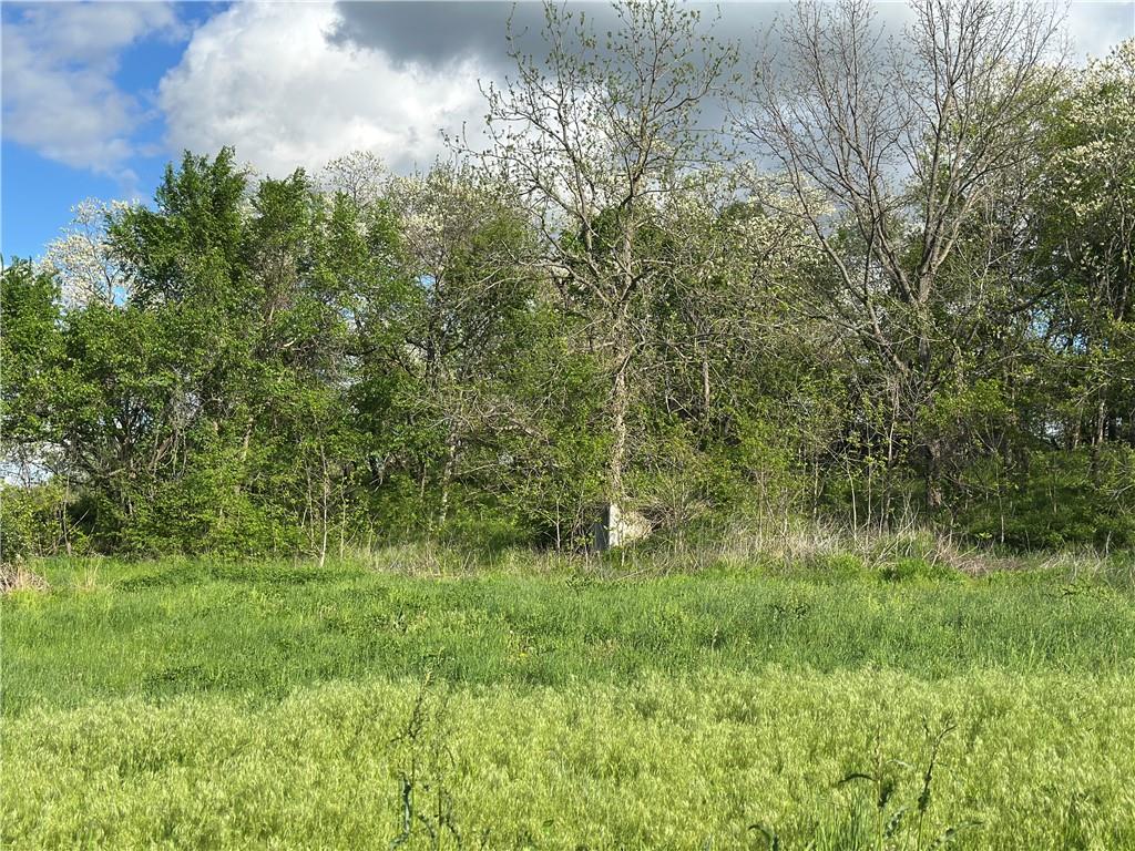 Listing Photo MLS #HMS2546951