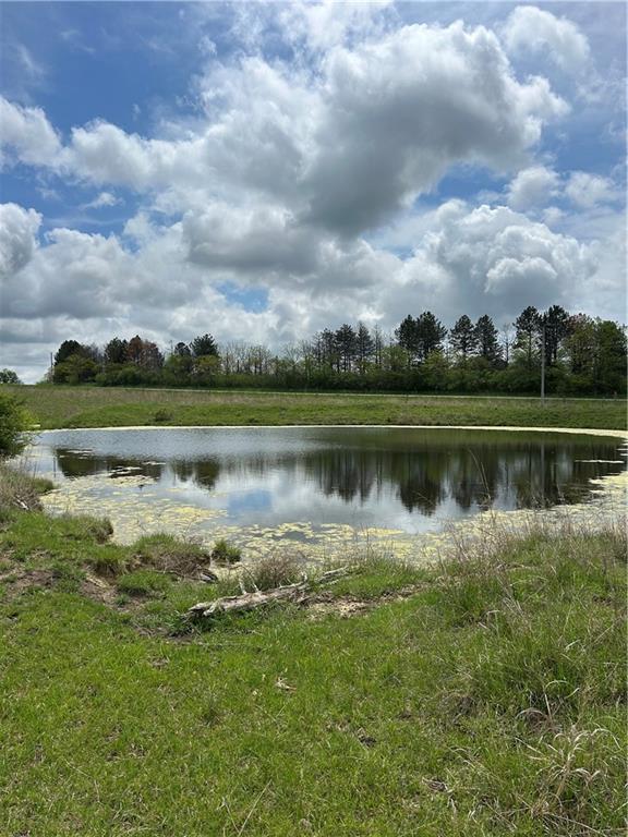Listing Photo MLS #HMS2547227