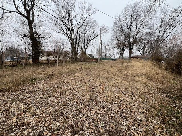 Listing Photo MLS #HMS2547391