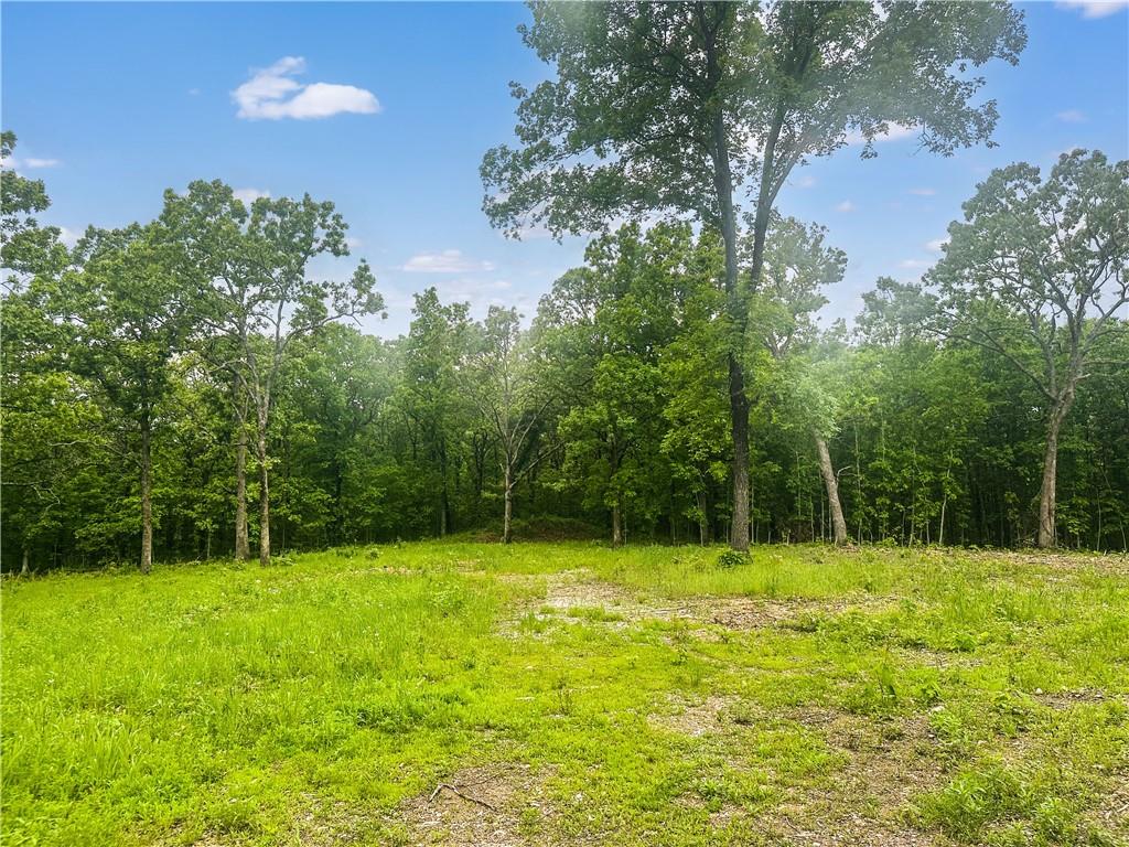 Listing Photo MLS #HMS2548987