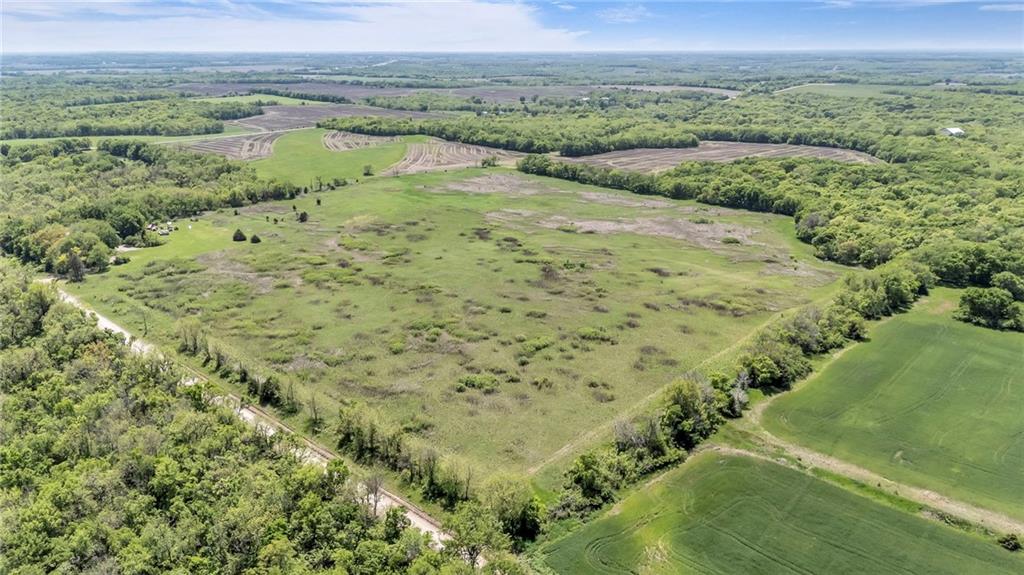 Listing Photo MLS #HMS2549091
