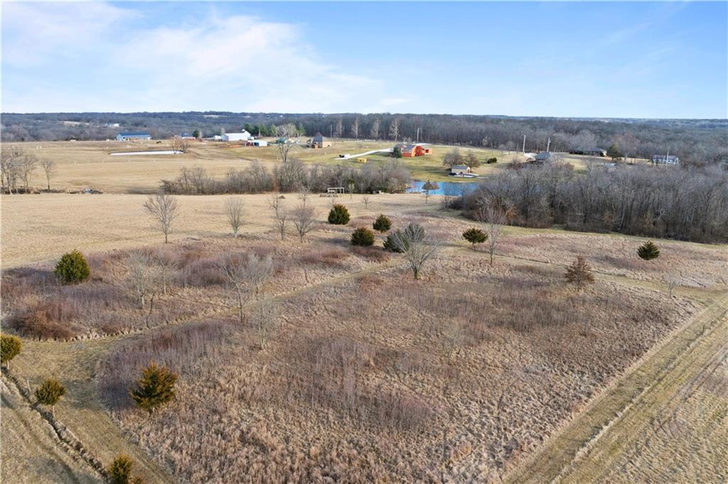 Listing Photo MLS #HMS2549795