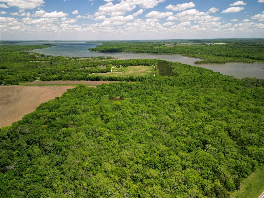 Listing Photo MLS #HMS2549928