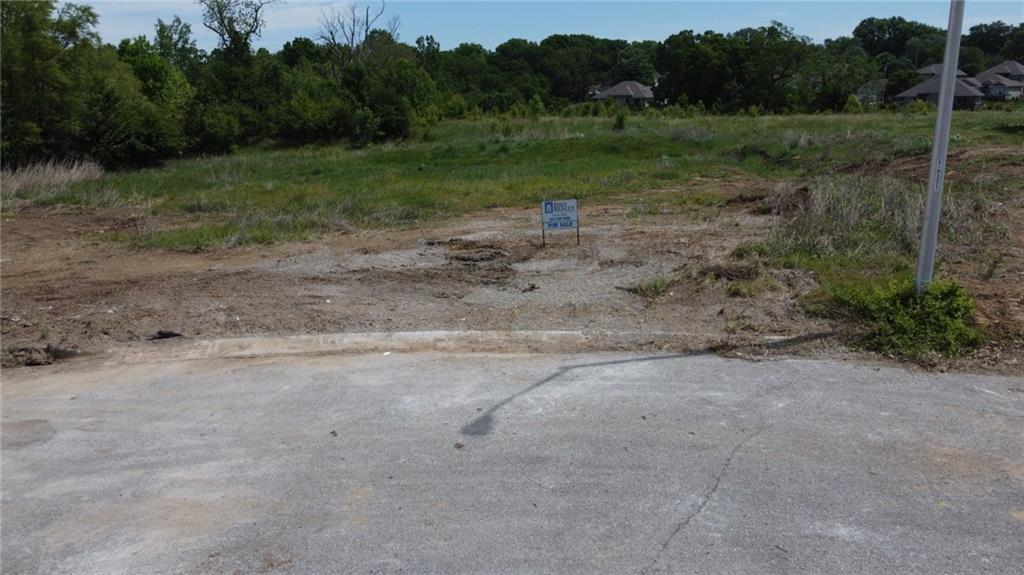 Listing Photo MLS #HMS2549964