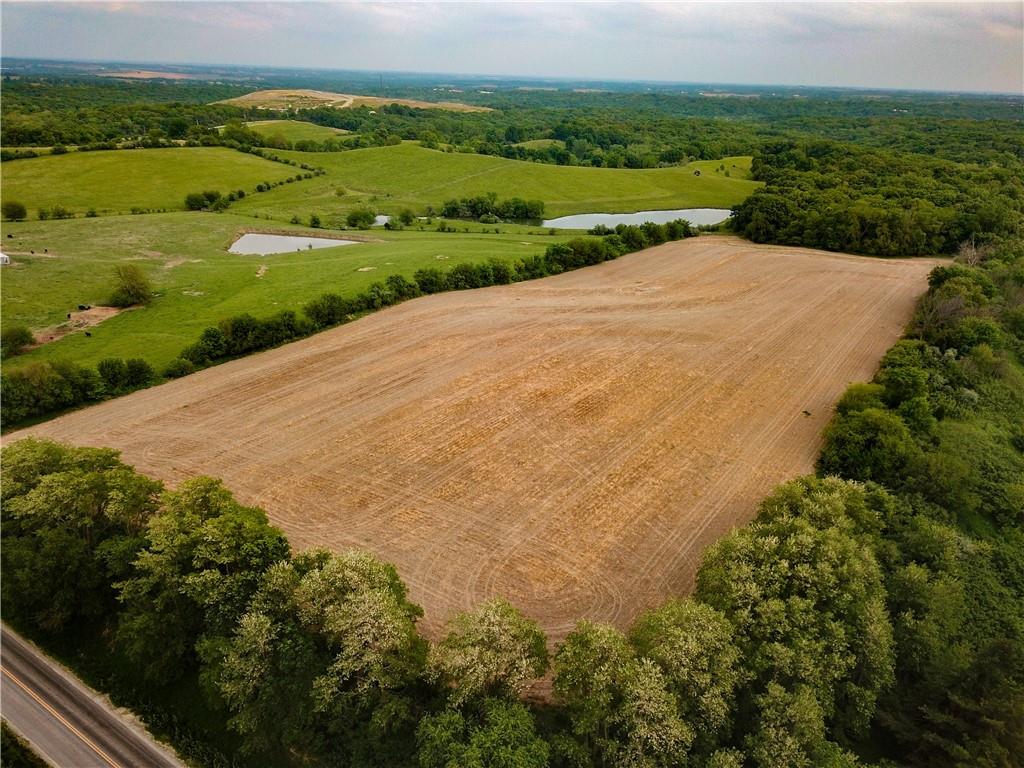 Listing Photo MLS #HMS2550011