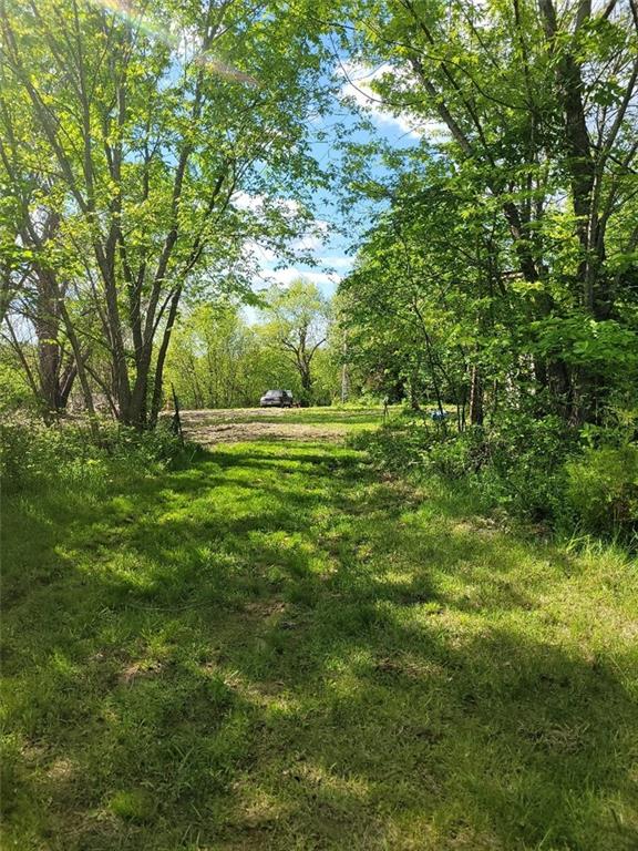 Listing Photo MLS #HMS2550503