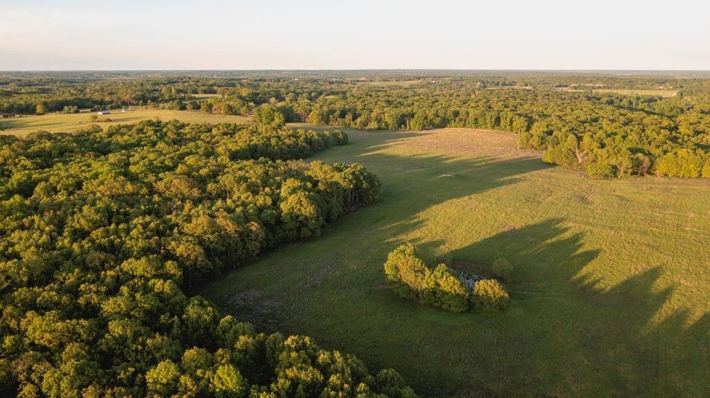 Listing Photo MLS #HMS2550530