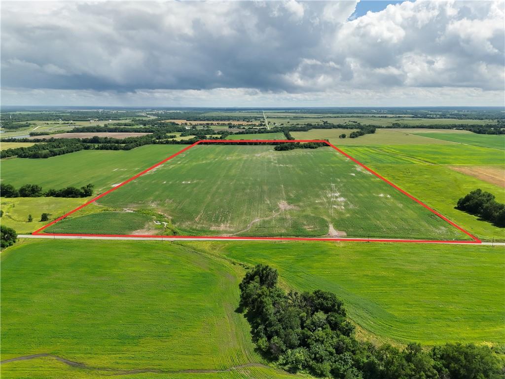 Listing Photo MLS #HMS2550614