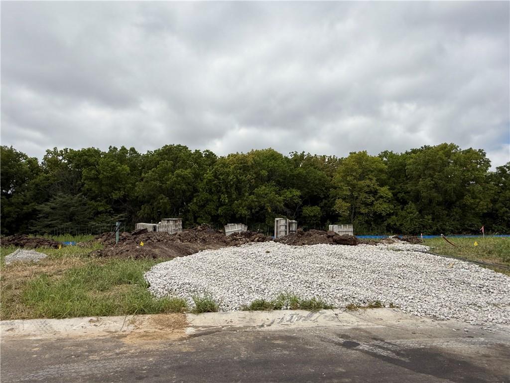 Listing Photo MLS #HMS2550735