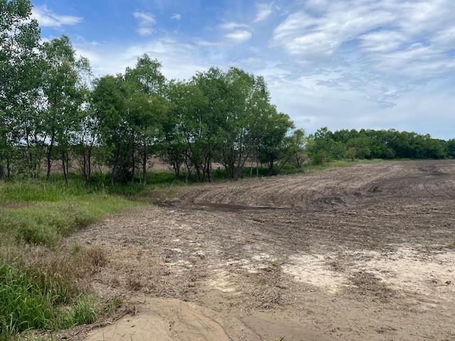 Listing Photo MLS #HMS2551585
