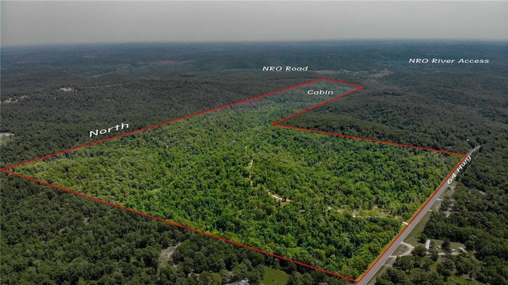 Listing Photo MLS #HMS2551847