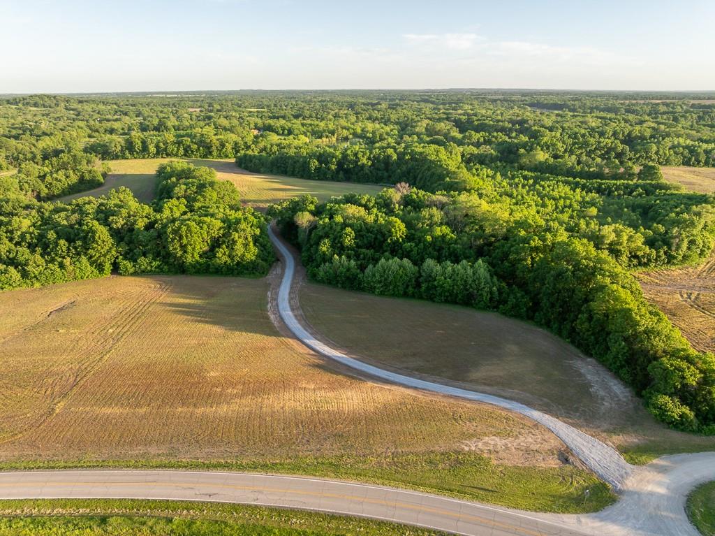 Listing Photo MLS #HMS2551878