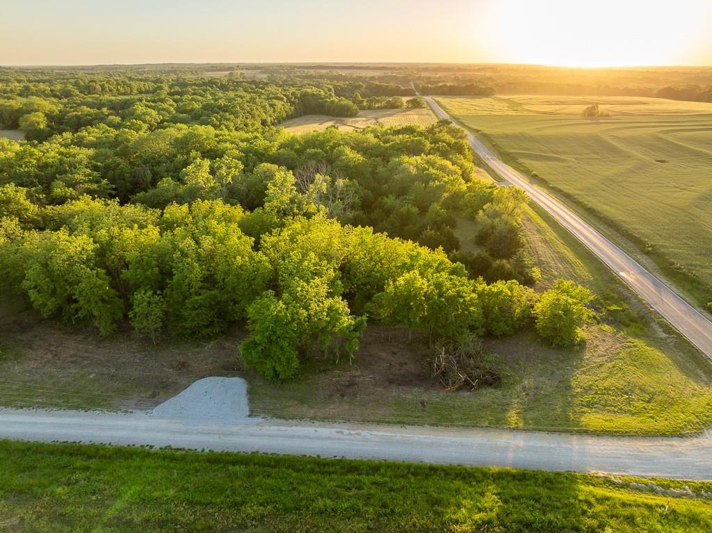 Listing Photo MLS #HMS2551890