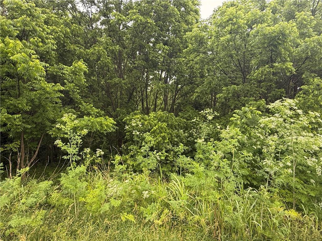 Listing Photo MLS #HMS2552053
