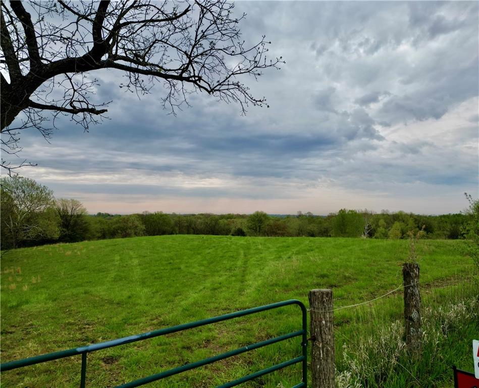 Listing Photo MLS #HMS2552217