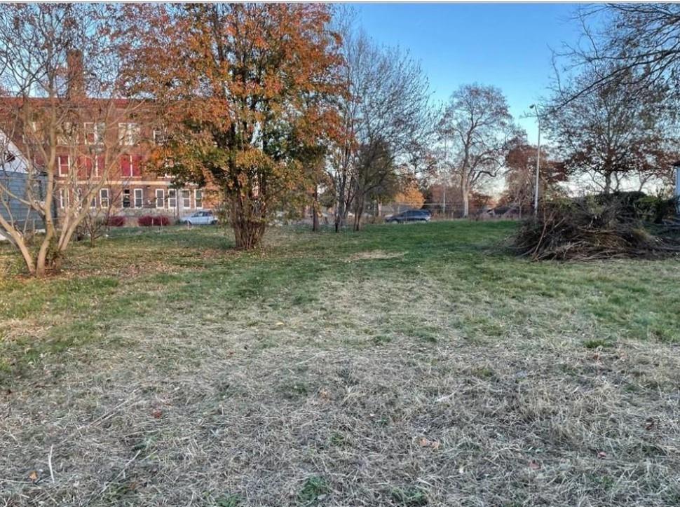 Listing Photo MLS #HMS2552442