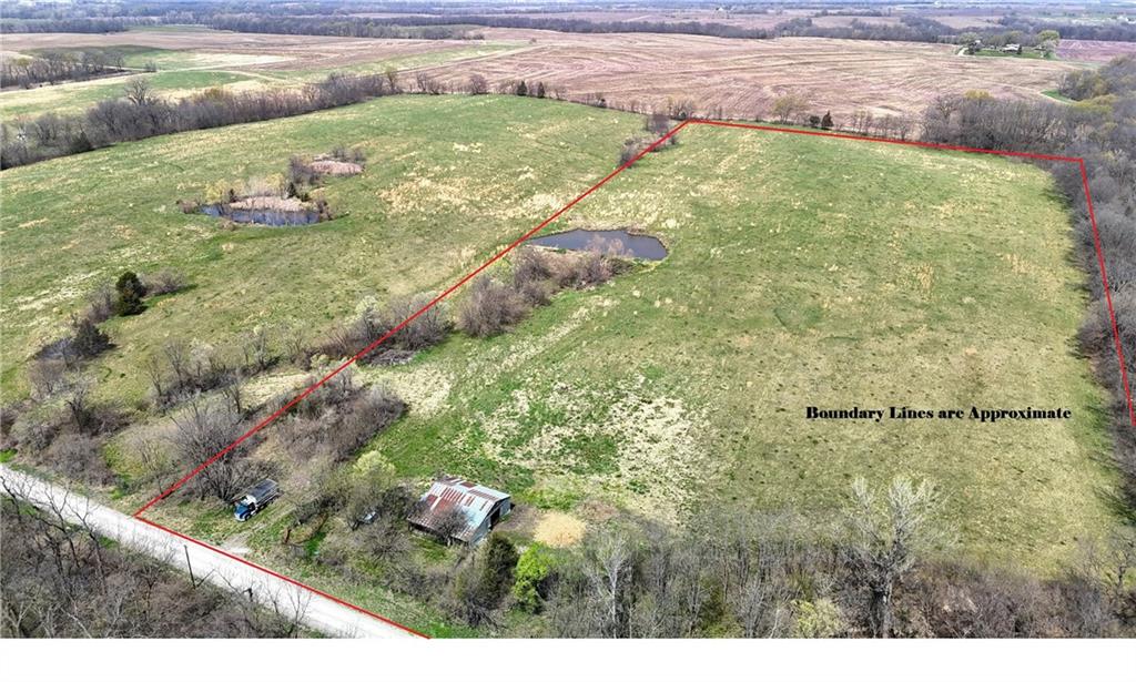 Listing Photo MLS #HMS2552469