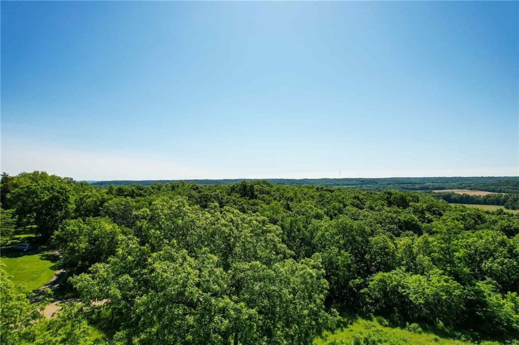 Listing Photo MLS #HMS2552488