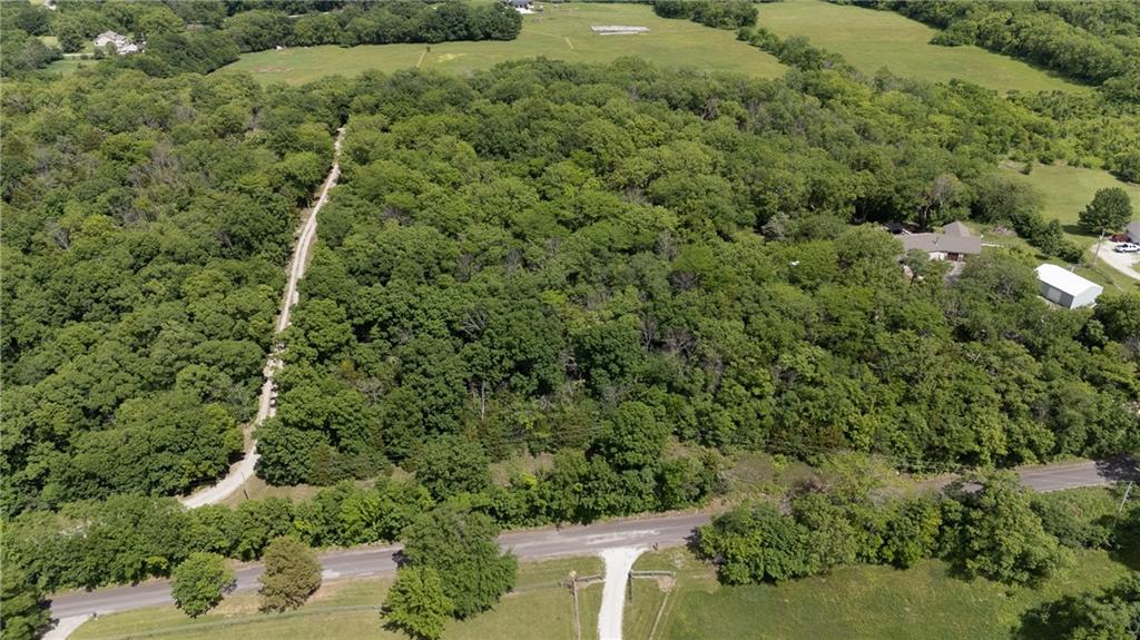 Listing Photo MLS #HMS2552736