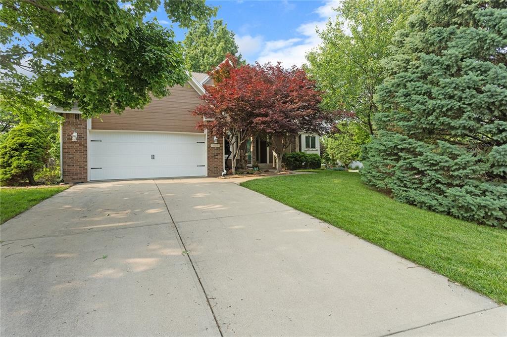 Listing Photo MLS #HMS2552896