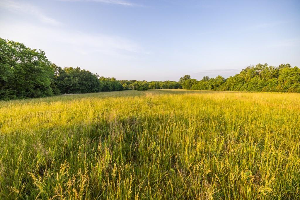 Listing Photo MLS #HMS2553675