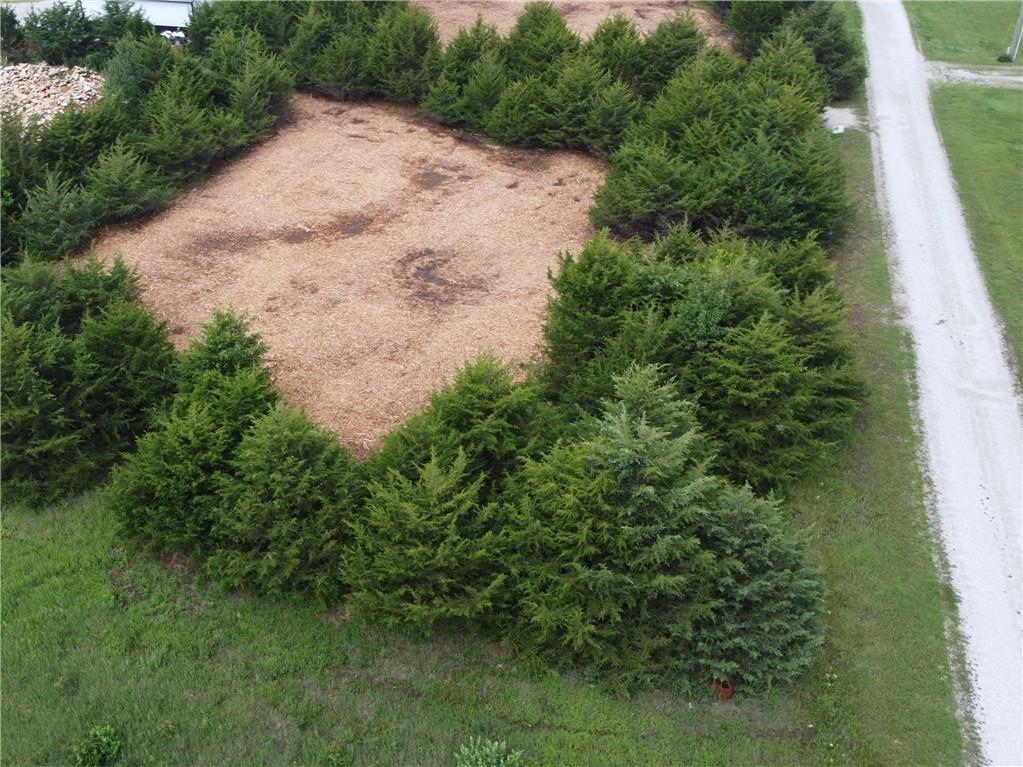 Listing Photo MLS #HMS2553838