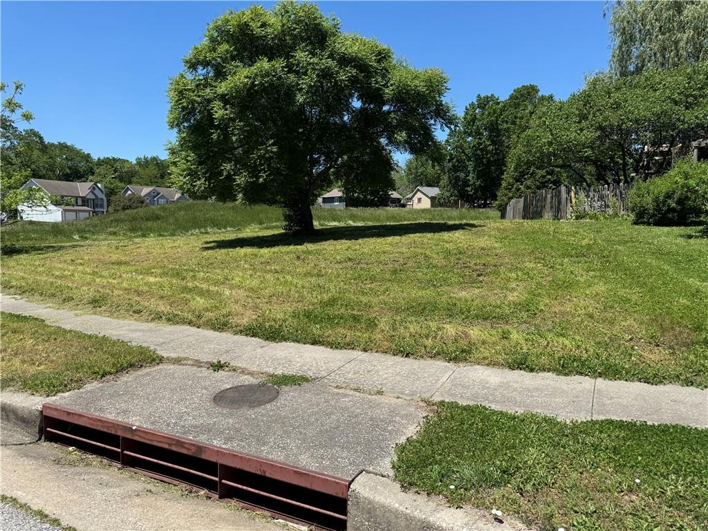 Listing Photo MLS #HMS2553877