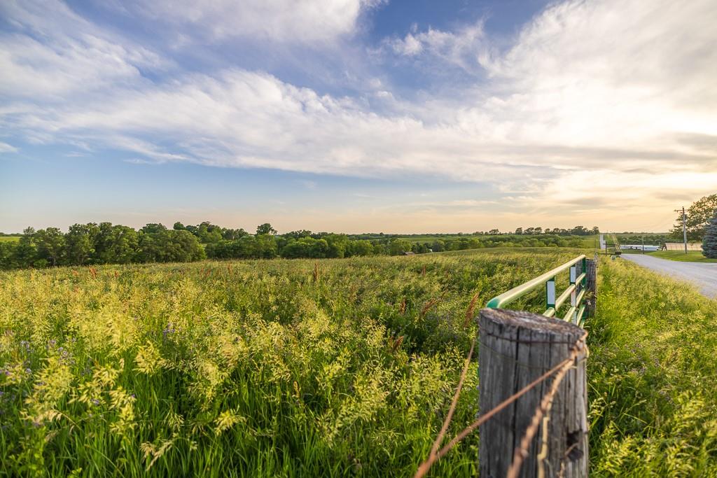 Listing Photo MLS #HMS2553878