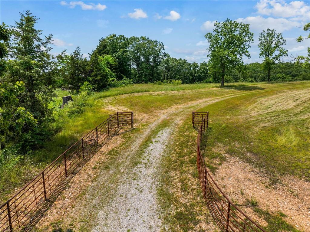 Listing Photo MLS #HMS2555282