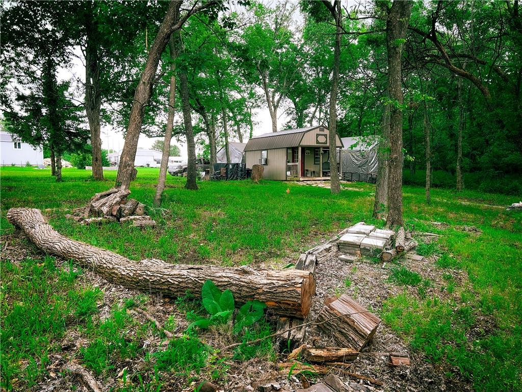 Listing Photo MLS #HMS2555391