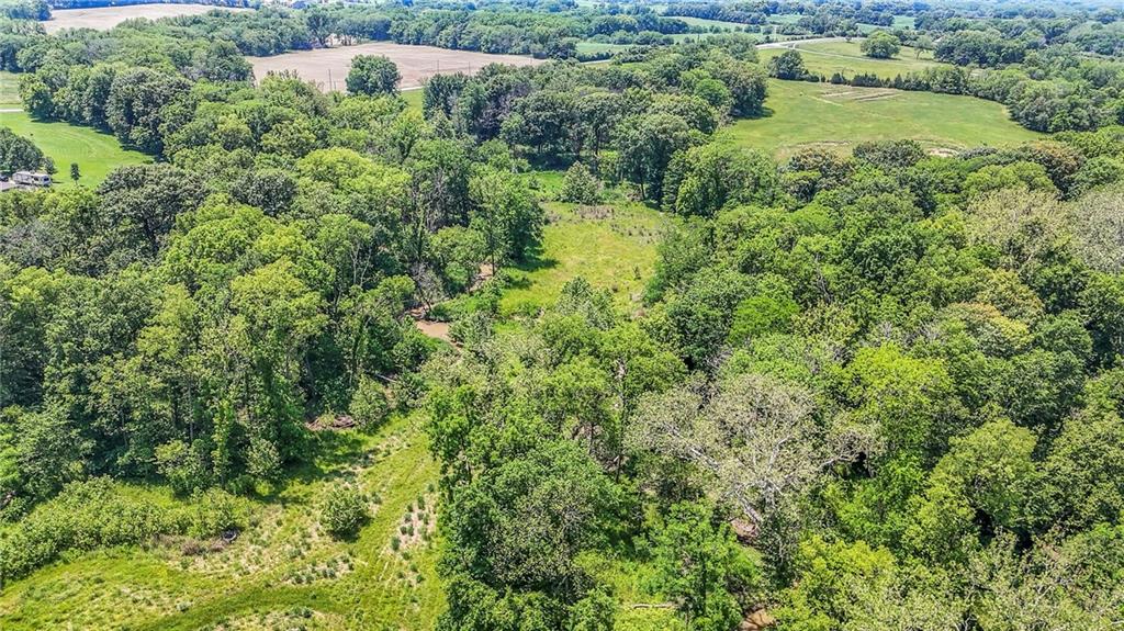 Listing Photo MLS #HMS2555697