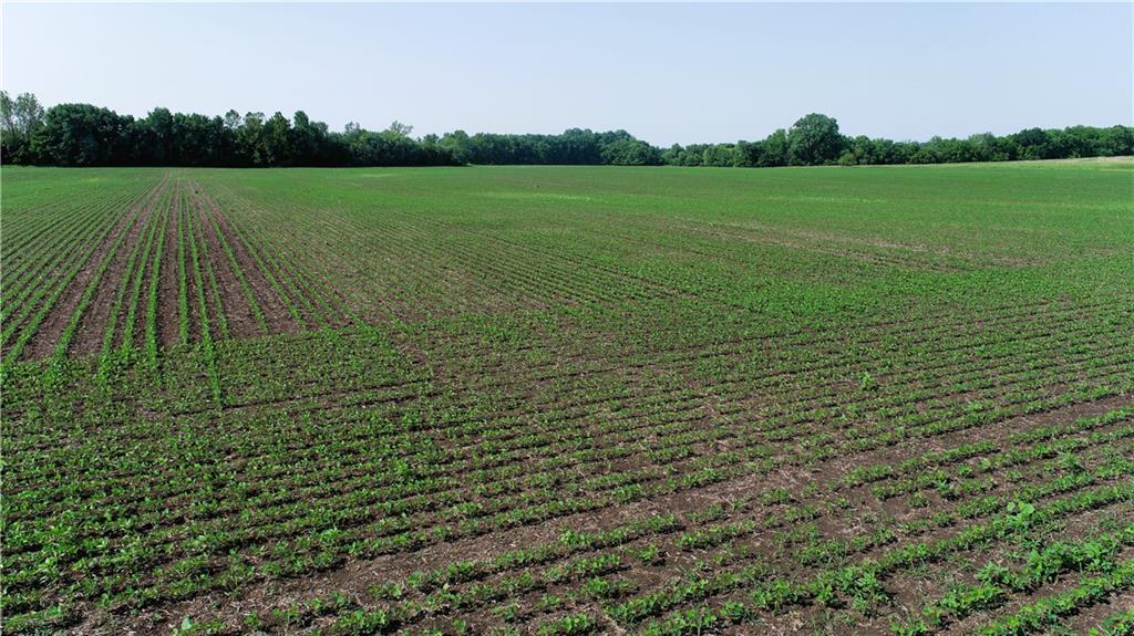 Listing Photo MLS #HMS2556004
