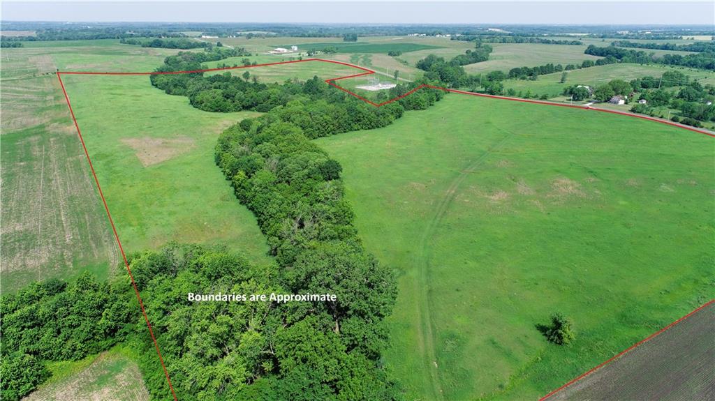 Listing Photo MLS #HMS2556012